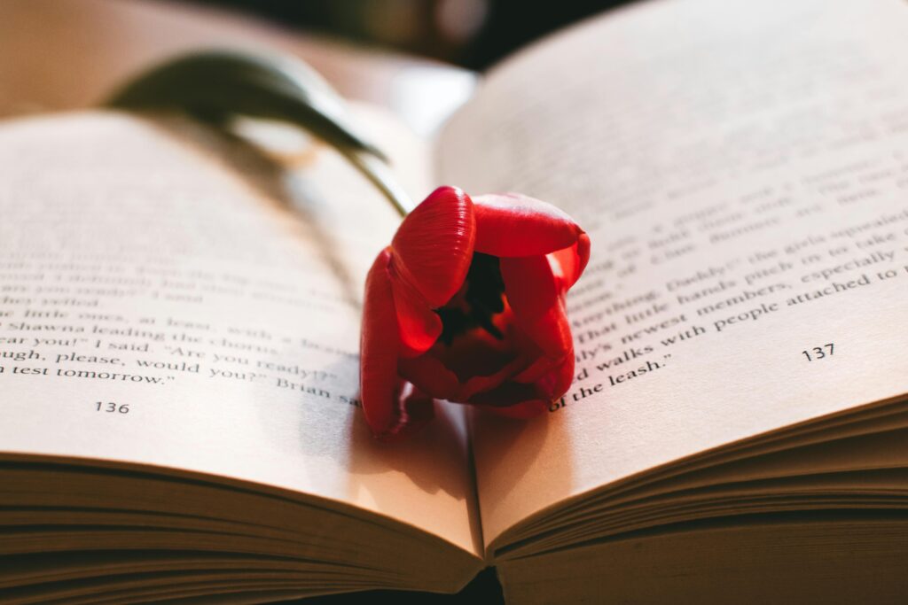 Enhancing Growth Through Meaningful Book Conversations